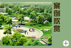 湖南優(yōu)度網(wǎng)絡(luò)_關(guān)于我們